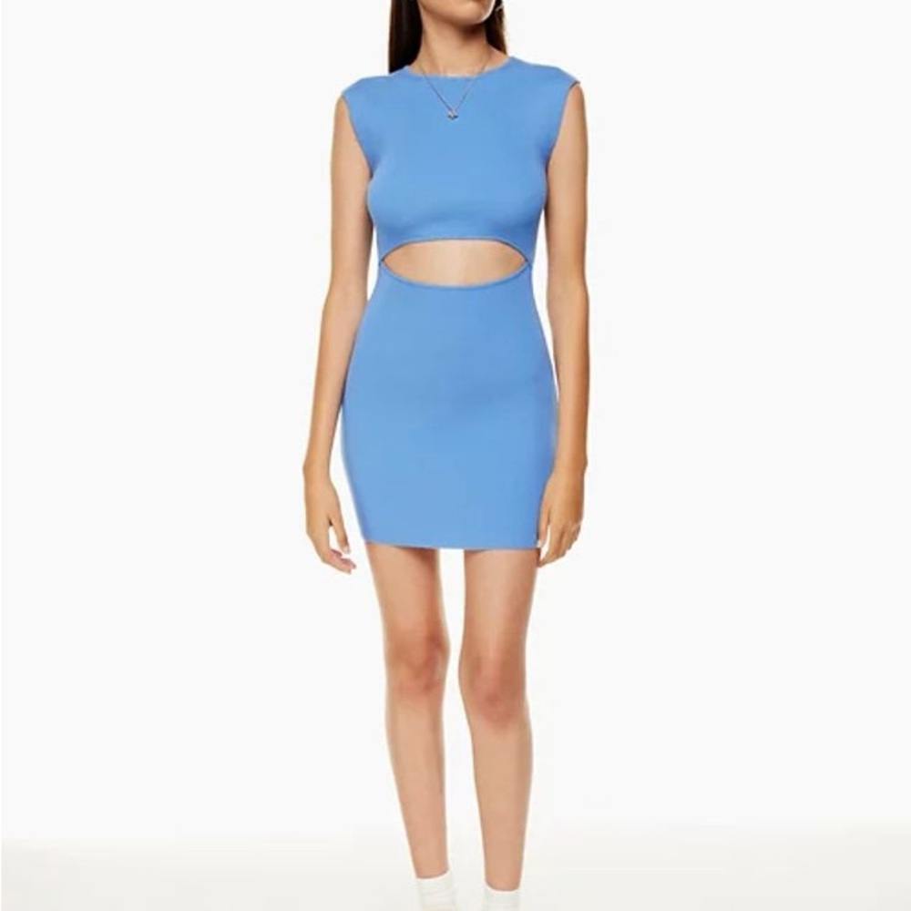Aritzia Blue Sleeveless Bodycon Mini Dress
